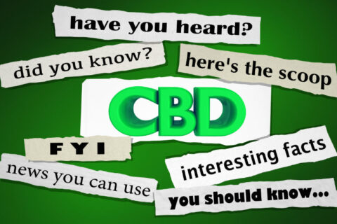Does hemp oil contain cbd