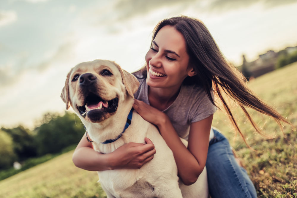 Woman on a green grass with dog Labrador retriever.