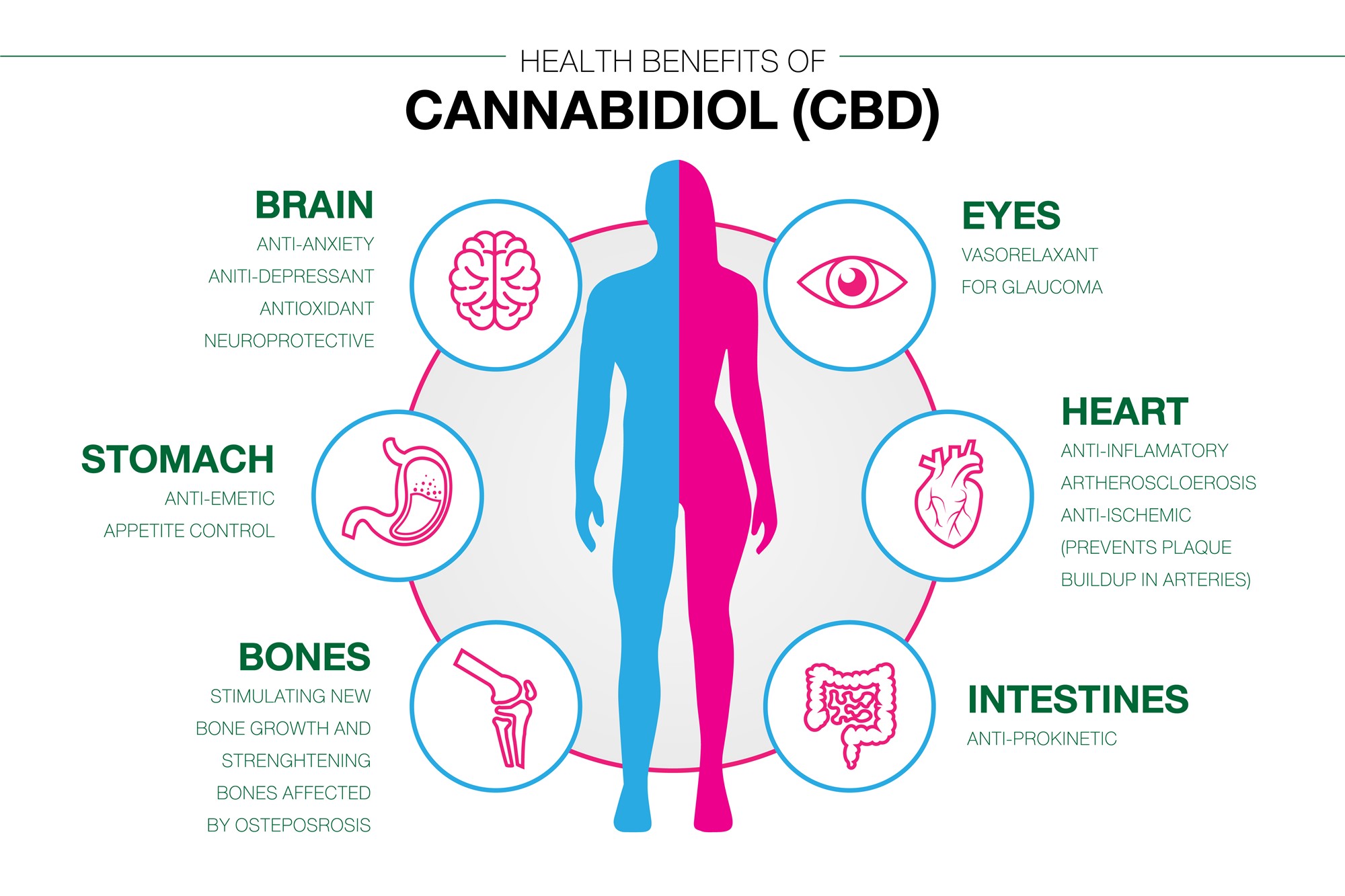 Benefits of Hemp Seed oil