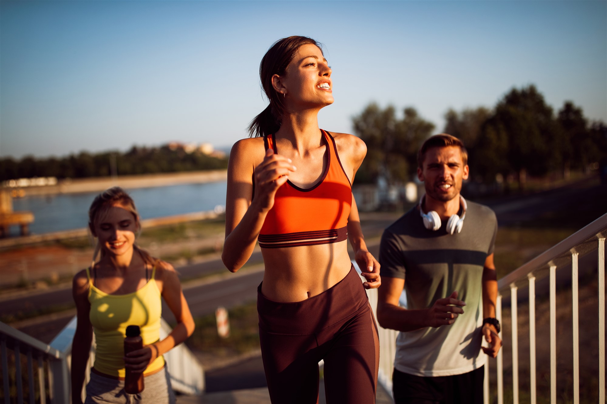 CBD Oil in Australia Premium Quality Oils 100 Organic THLC