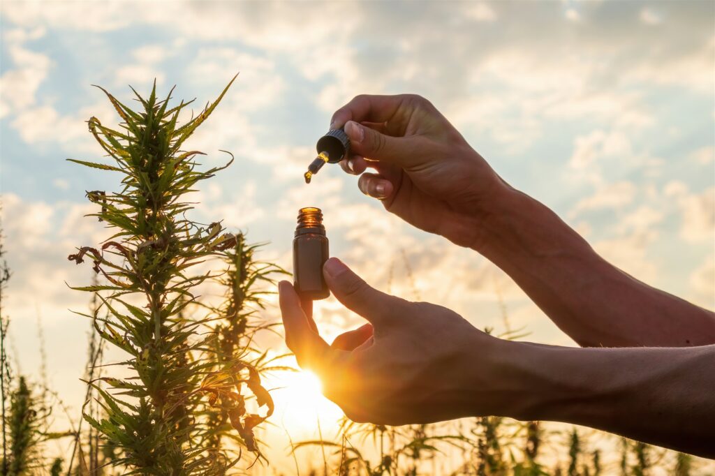 Buy CBD Oil in Adelaide