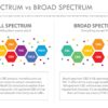 Full Spectrum CBD Oil