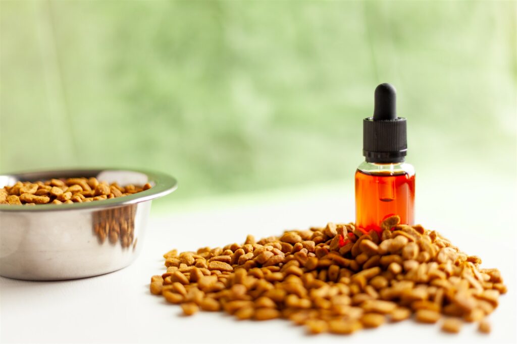 Hemp Seed Oil for Dogs