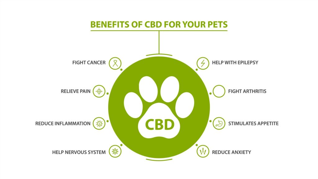 Hemp Oil do for Dogs