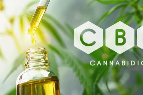 What is CBD Oil?